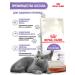 ROYAL CANIN Dry food for cats Sterilized 37 (sterilizhez 37) 2kg - Buy Online on GoSupps.com