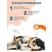 ZOORIK Shampoo-gel for intimate hygiene of dogs soothing 250 ml - Buy Online on GoSupps.com