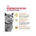 ROYAL CANIN Feed for British short -haired cats set 2+2 kg - Buy Online on GoSupps.com