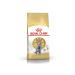 ROYAL CANIN Feed for British short -haired cats set 2+2 kg - Buy Online on GoSupps.com