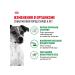 ROYAL CANIN Dry food for dogs up to 10 kg 8+ set 4+4 kg - Buy Online on GoSupps.com