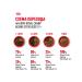 ROYAL CANIN Dry food for sterilized cats 12+ set 4+4 kg - Buy Online on GoSupps.com