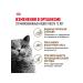 ROYAL CANIN Dry food for sterilized cats 12+ set 4+4 kg - Buy Online on GoSupps.com
