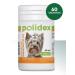 polidex Polydex Immunity AP for dogs 60Tab - Buy Online on GoSupps.com