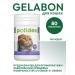 polidex Polydex for cats Gelabon 80Tab