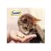 DREAMIES Mix pillow for cats chicken peppermint 140 g 10 pcs - Buy Online on GoSupps.com