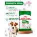 ROYAL CANIN Dry food mini adult for dogs of small breeds 8 kg - Buy Online on GoSupps.com
