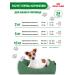 ROYAL CANIN Dry food mini adult for dogs of small breeds 8 kg - Buy Online on GoSupps.com