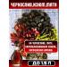 Tinctures for moonshine set - Buy Online on GoSupps.com