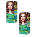 FARA Hair dye Natural Colors tone 325 90 ml 2 pcs