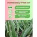 Secrets of Altai Aloe Vera 50 g - Buy Online on GoSupps.com