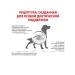 Royal Canin Dry food for dogs for all rocks with digestive problems - Buy Online on GoSupps.com