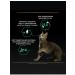 PRO PLAN Sterilized Dry food for sterilized cats and cats with salmon - Buy Online on GoSupps.com
