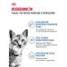 Royal Canin Dry food for cats for living in the room - Buy Online on GoSupps.com