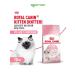 Royal Canin Dry food for kittens from 4 months with chicken