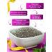 Shahrom Nuts Chia seeds for weight loss 150g - Buy Online on GoSupps.com