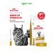 Royal Canin Dry food for cats in the treatment of ICD with a bird