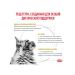Royal Canin Dry food for cats in the treatment of ICD with a bird - Buy Online on GoSupps.com