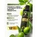 Adarisa Salosulfant shampoo lime refreshing for hair and cardamom - Buy Online on GoSupps.com