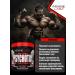 Insane Labs Insane Labz Psychotic 220G Psychotics fruit punch - Buy Online on GoSupps.com