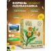 BerECO Dandelion root in capsules