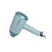 OULEMEI Hair folding folding hair dryer (2400 watts) - Buy Online on GoSupps.com