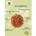 Eco Snack Raisins without bones 1 kg malam - Buy Online on GoSupps.com