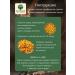 Eco Snack Raisins without bones Light Golden 1 kg - Buy Online on GoSupps.com