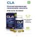 RealCaps Fat burner for weight loss Cla 600 mg