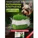 Live 200 Vitamins for dogs for immunity