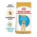 ROYAL CANIN Labrador Puppy Dry Feed for Labrador breed puppies 3 kg - Buy Online on GoSupps.com