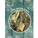 Natural aspen bark - Buy Online on GoSupps.com
