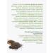 Lecraset Chia seeds 100 g. Healing herbs - Buy Online on GoSupps.com