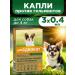 Elanco Drops a lawyer for dogs up to 4 kg