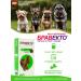 bravecto Flea and ticks tablet 10-20 kg