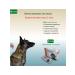 KRKA Selafort 12% 0.5 ml from fleas for dogs 5.1-10 kg - Buy Online on GoSupps.com