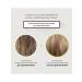 LADOR Shampoo and air conditioning powerless Moisture Balance - Buy Online on GoSupps.com