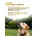 Zoetis Simeparika tablets for dogs from 1.3 to 2.5 kg - Buy Online on GoSupps.com