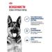 Dry feed for dogs Royal Canin of large rocks - Buy Online on GoSupps.com