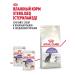 Dry food for sterilized cats Royal Canin - Buy Online on GoSupps.com