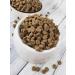 ProBalance Feed for cats with beef and lamb 400 g - Buy Online on GoSupps.com
