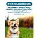 KRKA Robexer painkillers for dogs 10 mg - Buy Online on GoSupps.com