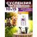 Enterozoo suspension Sasha 15 g 10 pcs