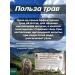 Danila Travnik Durnish grass grass for hypothyroidism thyroid gland 3pcs - Buy Online on GoSupps.com