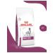 ROYAL CANIN Dog food dry Early Renal 2 kg