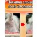 Skin diseases in dogs spray for cats and dogs 500 ml - Buy Online on GoSupps.com