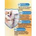 Skin diseases in dogs spray for cats and dogs 500 ml - Buy Online on GoSupps.com