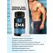 BIOVIN Hc. Vitamins and dietary supplements for men 30 tab + zma testosterone 30 - Buy Online on GoSupps.com