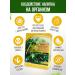 Honey and Jam Spores (Highlands of Bird) Grass 30 g - Buy Online on GoSupps.com