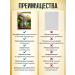 bee lab Choleretic herbal collection for liver diseases 2 pcs - Buy Online on GoSupps.com